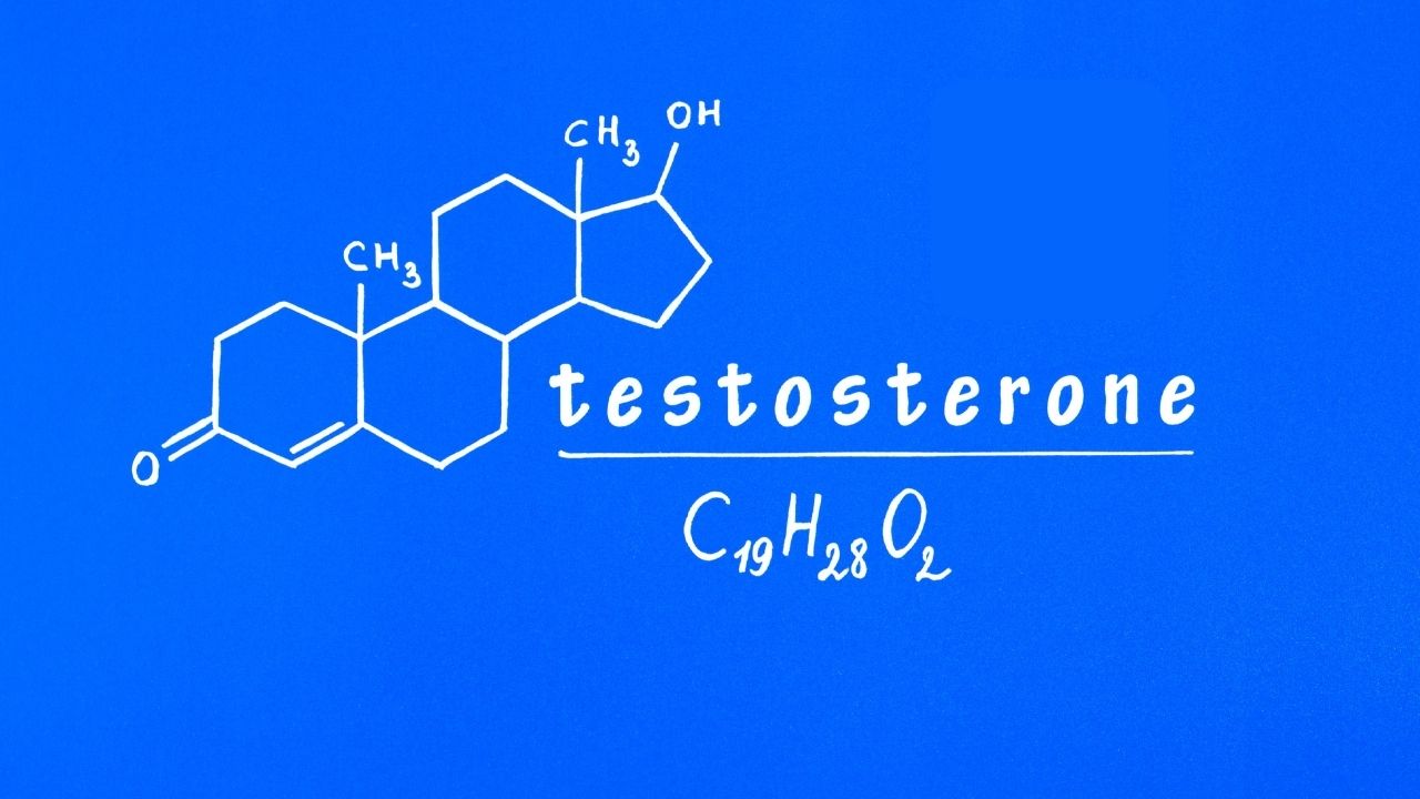 Testosteron Hormonu ve Erkek Sağlığı Üzerindeki Etkileri